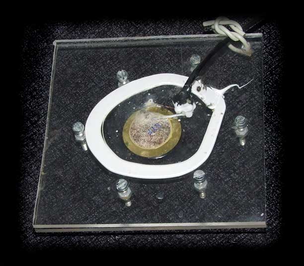 Hydrofon